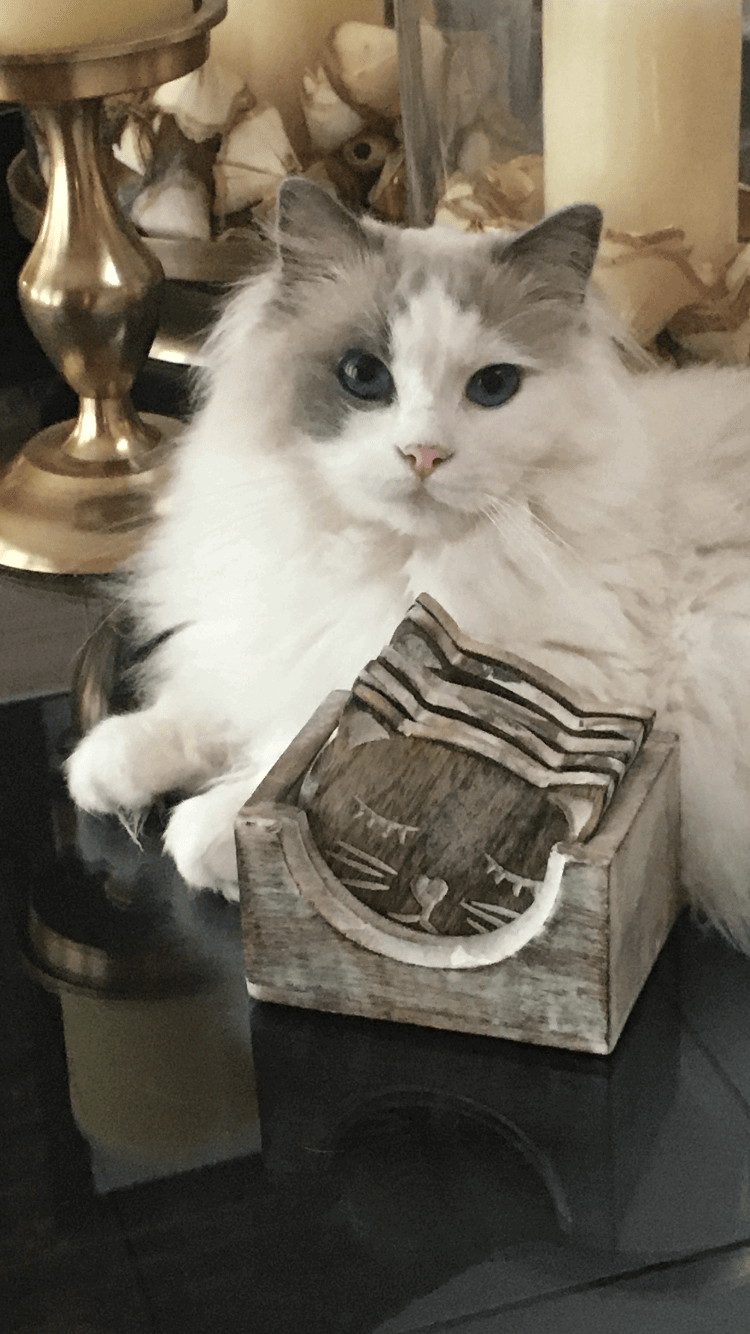Princess Sophie